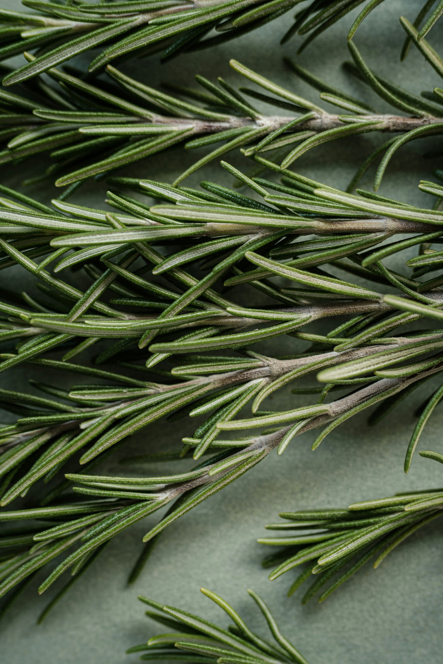 Why Scalp Care Is Essential for Healthy Hair Sample 5